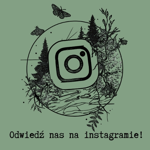Odwiedź nas na instagramie