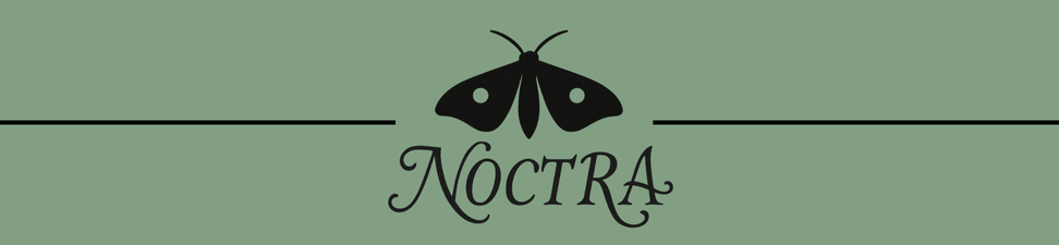 NOCTRA - strona główna
